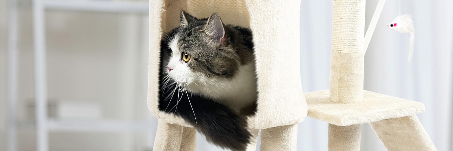 vounot arbre a chat