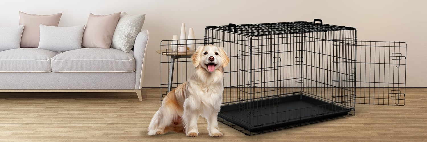 POUR CHIEN
