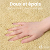 Lot de 2 Tapis de Bain Antidérapant microfibre 60x90cm beige - VOUNOT FR
