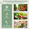 Mini Serre de jardin avec 2 portes enroulables bache PE renforcee 135g/m2 180x90x90cm Vert - VOUNOT FR