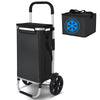 Chariot de course pliable aluminium 2 roues avec sac isotherme noir