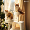 Arbre a chat Grande taille 5 niveaux avec griffoir grattoir 168cm beige - VOUNOT FR