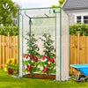 Serre de jardin Serre tomates avec grande porte enroulable bache PE renforcee 135g/m2 100x50x150cm Blanc - VOUNOT FR