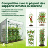 Serre de jardin Serre tomates avec porte et fenetres moustiquaire bache PE renforcee 135g/m2 200x77x170cm Blanc - VOUNOT FR