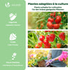 Serre de jardin Serre tomates avec grande porte enroulable bache PE renforcee 135g/m2 100x50x150cm Vert - VOUNOT FR