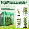 Serre de jardin Serre tomates avec porte et fenetres moustiquaire bache PE renforcee 135g/m2 200x77x170cm Vert - VOUNOT FR