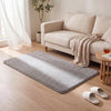 Tapis de salon poils ras doux antiderapant 80x150cm uni gris - VOUNOT FR