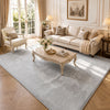 Tapis de salon poils ras doux antiderapant 200x300cm uni gris - VOUNOT FR