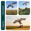 Cerf volant anti oiseaux effaroucheur sans mat Faucon modele A - VOUNOT FR