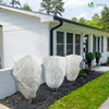 Lot de 3 Housse Hivernage Plante avec Cordon Polypropylème 80g/m² 80x100cm blanc - VOUNOT FR