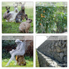 Grillage a poule avec fils renforces 0.8mm et maille extra fine 13mm en PVC gaine vert 1x10M - VOUNOT